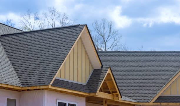 Best Gutter Installation and Repair  in Rock Port, MO