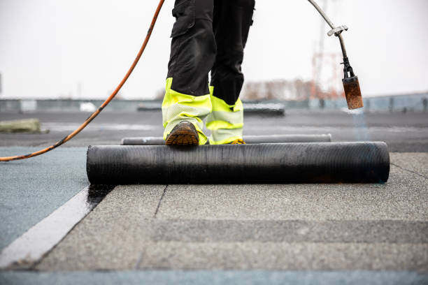 Best Skylight Installation and Repair  in Rock Port, MO