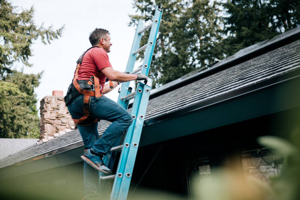 Best Roof Maintenance and Cleaning  in Rock Port, MO